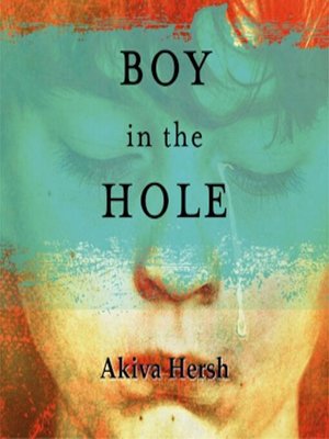 cover image of Boy in the Hole
